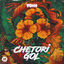Cover Chetori Gol