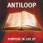 Cover Purpose In Life