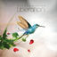 Cover Liberation
