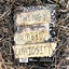 Cover Morbid Curiosity