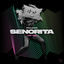 Cover Senorita (VIP Mix)