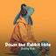 Cover Down the Rabbit Hole