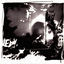 Cover Amusement Parks On Fire