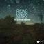 Cover Rising Stars - The Classical Vanguard