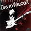 Cover The Best Of David Wilcox