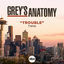 Cover Trouble (From “Grey’s Anatomy: Season 18”)