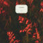 Cover Guava