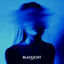 Cover Blaulicht