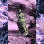 Cover V E N U S 1 9 9 7