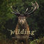 Cover Wilding (Original Soundtrack)