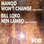 Cover Won’t Change / Nen Lambo