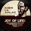 Cover Joy of Life Riddim