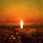 Cover Voir le soleil