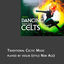 Cover Dancing With The Celts, Traditional Celtic Music played by violin (arr New Age)