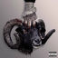 Cover The Black Sheep