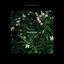 Cover Noctune: I. Amman