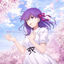 Cover Fate/stay night [Heaven's Feel] Original Soundtrack Another Edition