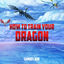 Cover How To Train Your Dragon (Epic Version) (Cover)