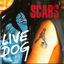 Cover Live Dog