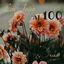 Cover Los Joao al 100, Vol. 1