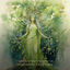 Cover Dryad and the Living Forest