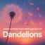 Cover Dandelions