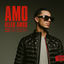 Cover Amo aller Amos