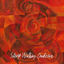 Cover Sleep Walking Orchestra