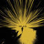 Cover La Luz