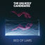 Cover Bed of Liars