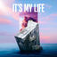 Cover It's My Life (Dance Edit)