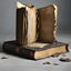 Cover Un livre ouvert