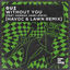 Cover Without You (feat. Hannah Jane Lewis) (Havoc & Lawn Remix)