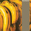 Cover Between 10th And 11th