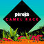 Cover Camel Race