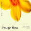 Cover Rough Sea