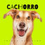 Cover Cachorro