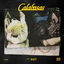 Cover Calabasas (feat. $NOT)