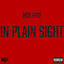 Cover In Plain Sight (Deluxe)