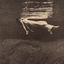 Cover Undercurrent
