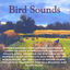Cover Bird Sounds