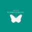 Cover Schmetterling