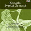 Cover Kılamên Evdalê Zeynıkê