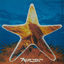 Cover Xylem Tube EP