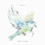 Cover Fly