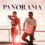 Cover Panorama
