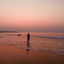 Cover Sunset Boulevard