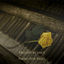Cover Piano for Reels