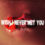 Cover Wish I Never Met You