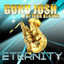 Cover Eternity